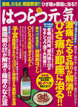 はつらつ元気 2009年11月号